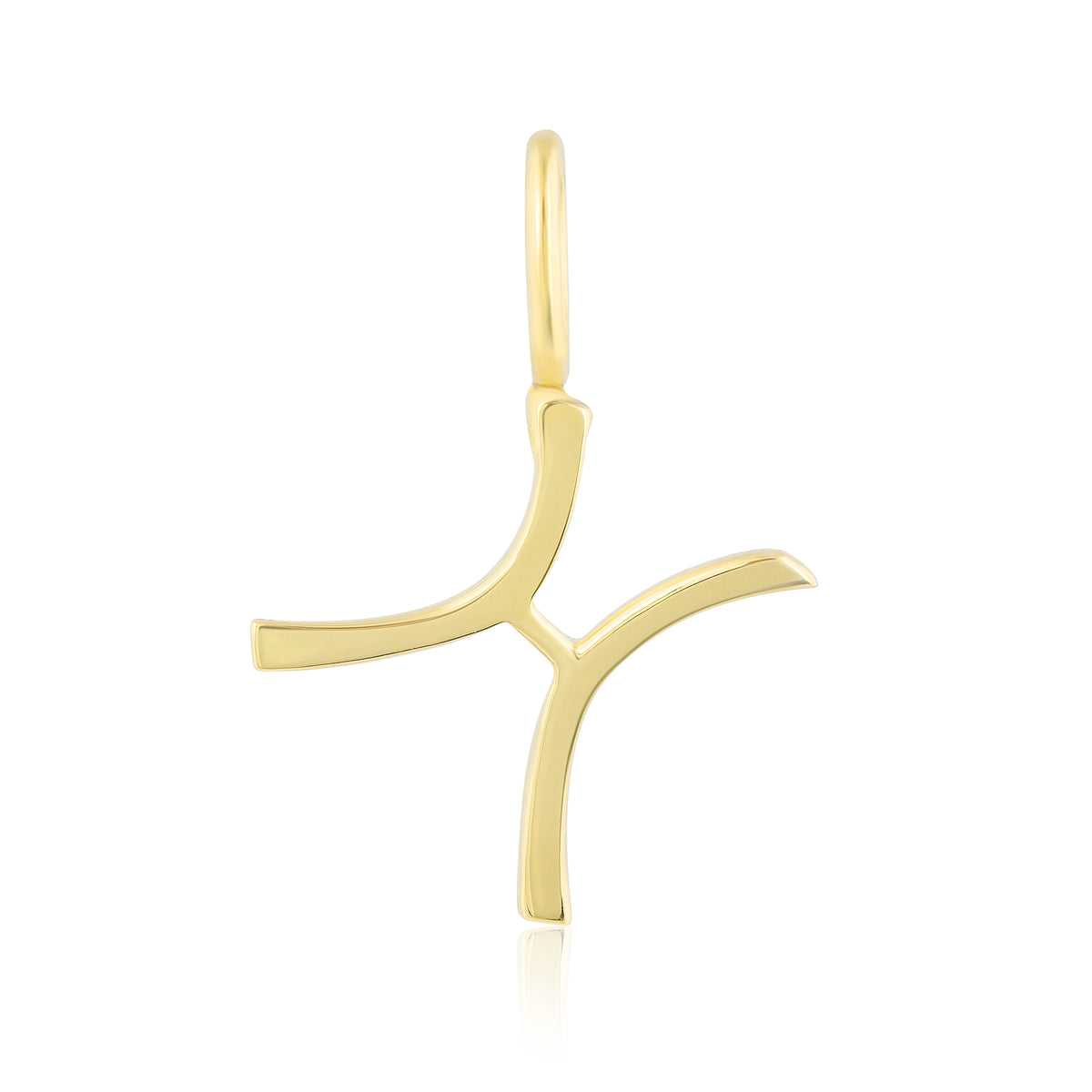 PISCES MINI CHARM