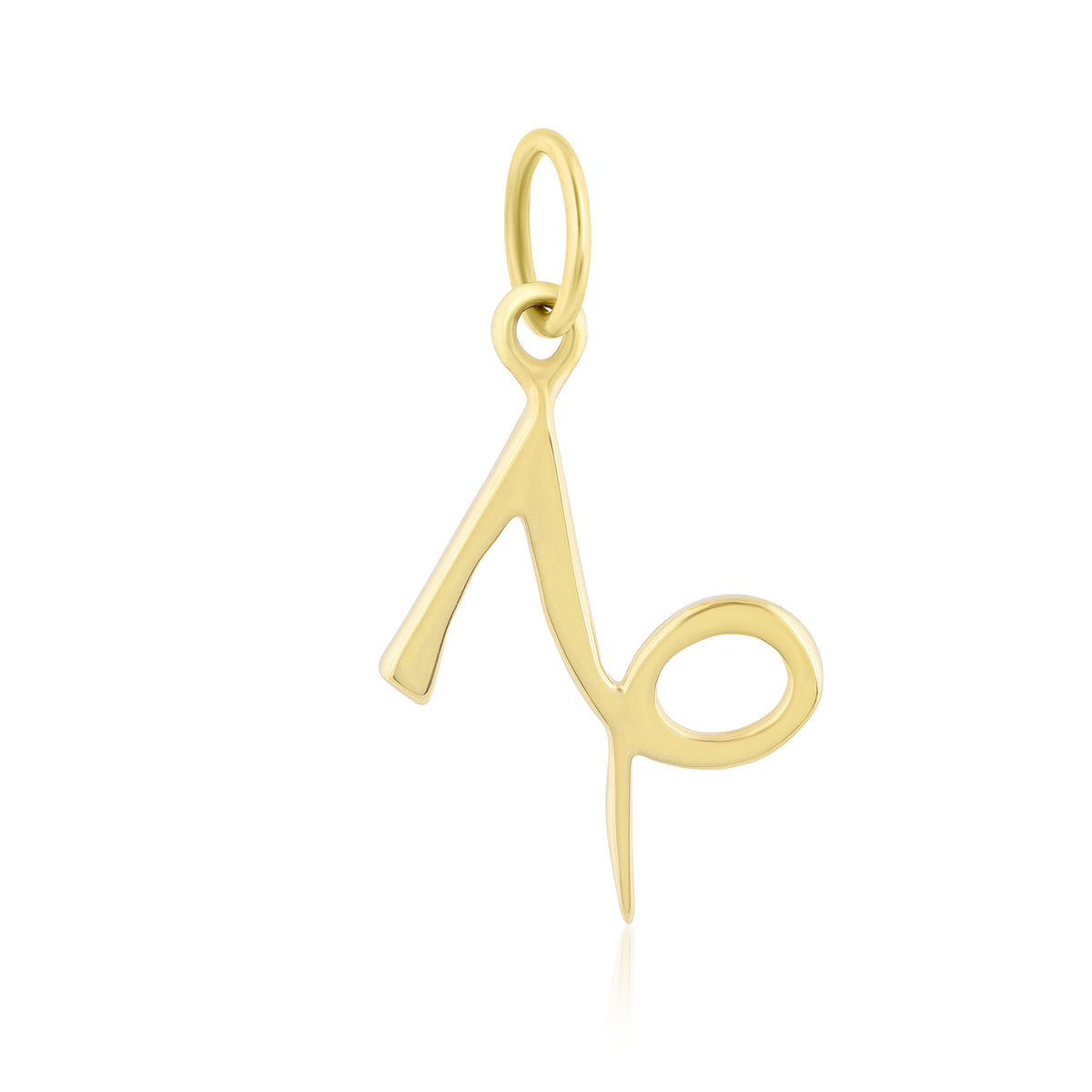 CAPRICORN MINI CHARM